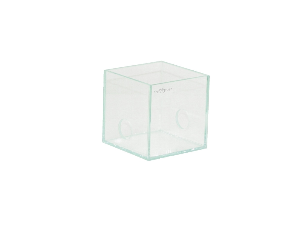 Antcube arena 10x10x10 - cube